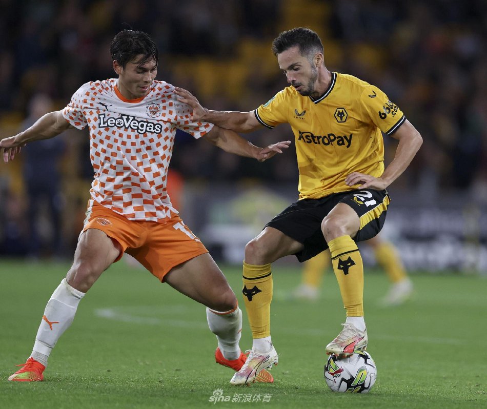 家队建设 家队建设